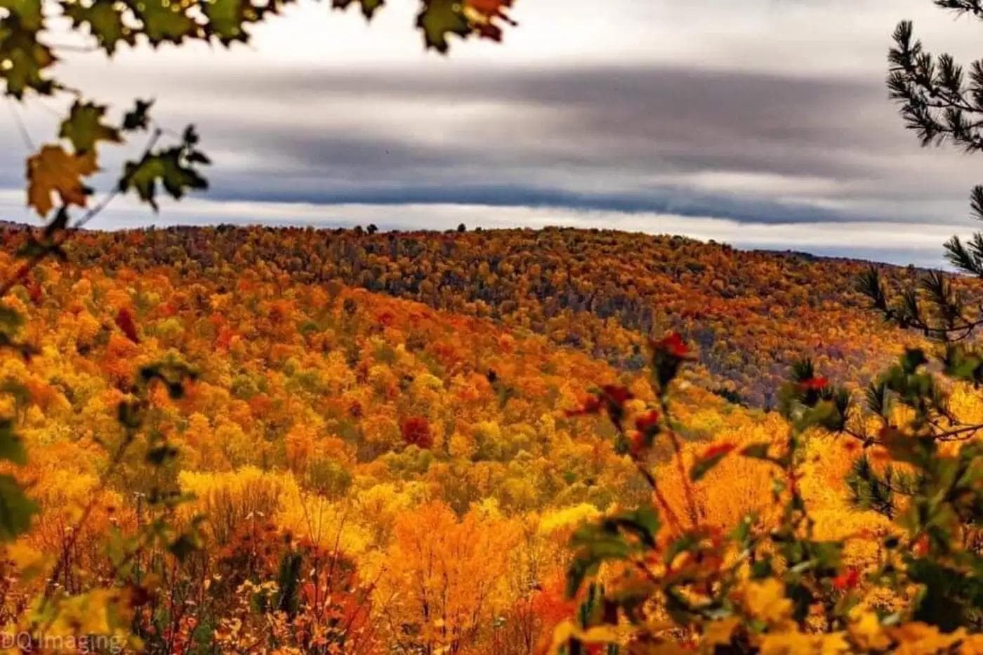 Metal roofing services in Great Valley, NY