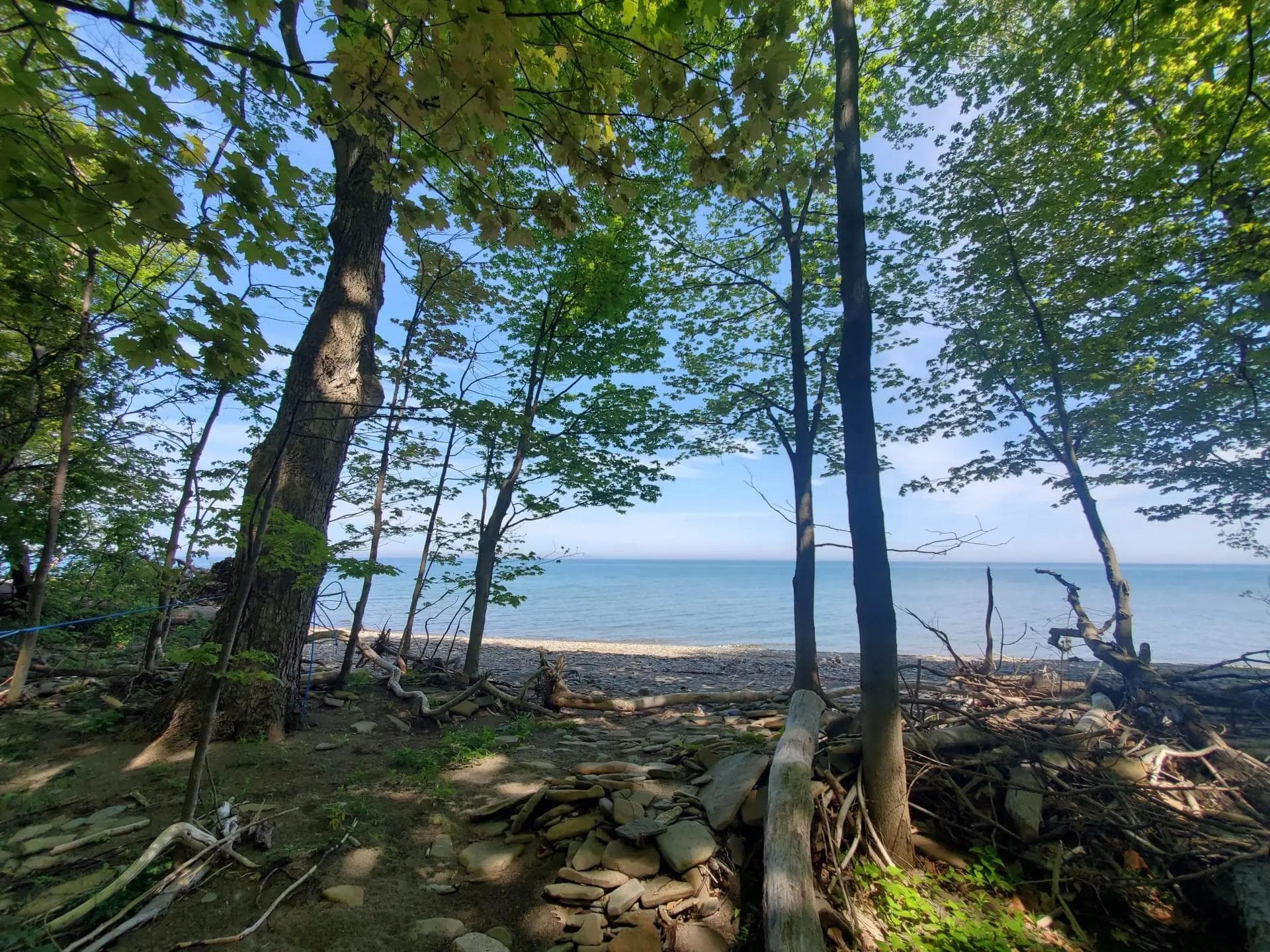 Metal roofing services in Westfield, NY